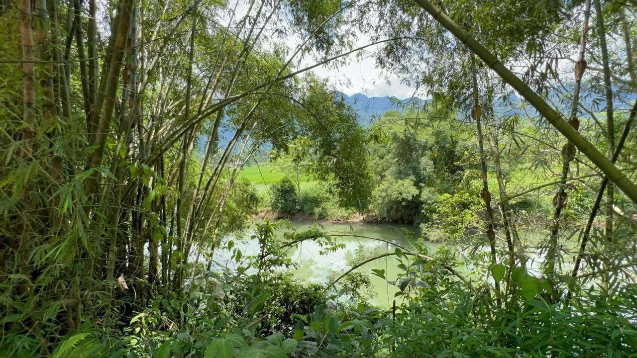 Đất nền Hoà Bình 600m² giá 400 triệu - Thổ cư 100%, view đẹp!