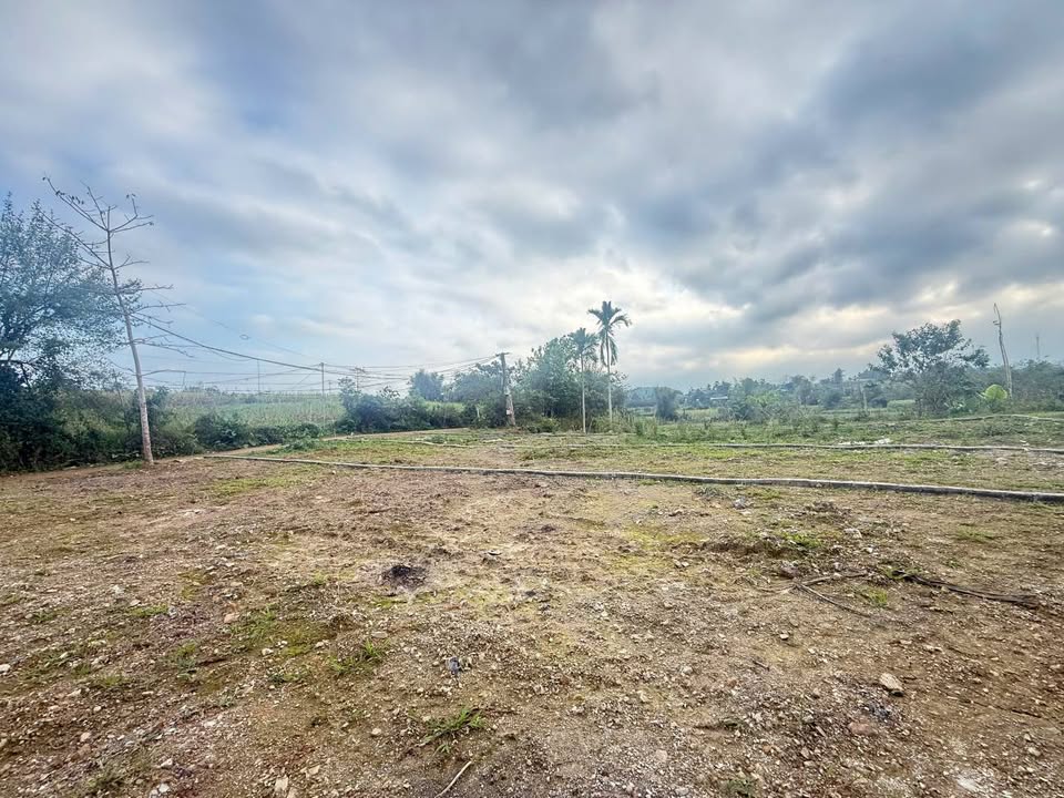 Bán Đất Nền Hòa Bình 191m² View Đồng - Sổ Đỏ Sẵn Sàng