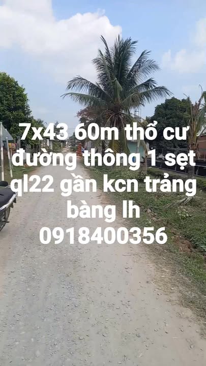 Đất nền An Tịnh Củ Chi 301m² - Tiềm năng tăng giá vượt trội!