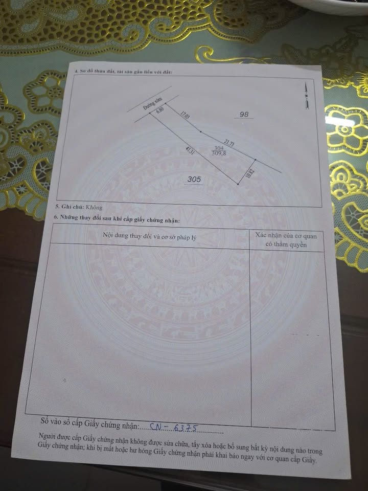 Đất Nền Tam Nông, Phú Thọ 309m² - Sổ Đỏ Chính Chủ, Giá Đầu Tư F0!