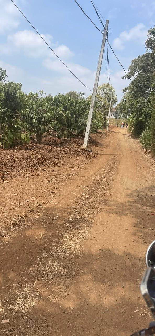 Đất nền Thành Nhất BMT 500m² giá 670 triệu - Tiềm năng tăng giá!