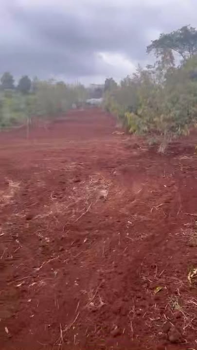 Đất nền Ea Kar 700m² giá 2.5 tỷ - Xây dựng tự do, sổ đỏ sẵn!