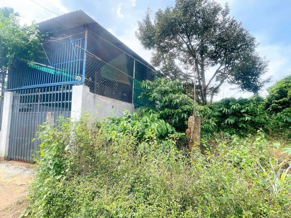 Bán Đất Thổ Cư 225m² Đường Lương Anh Quang, Buôn Ma Thuột - Giá 1.4 Tỷ