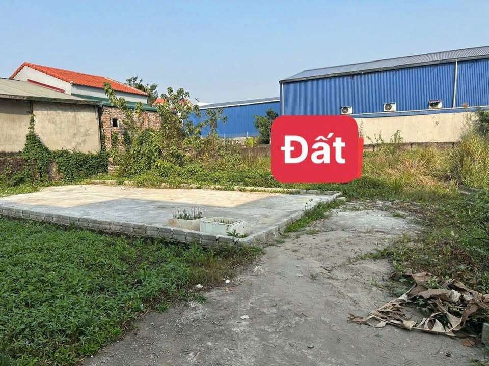 Đất nền Chương Dương, Thường Tín 47.7m² - Sổ đỏ sẵn sàng, Ô tô vào tận nơi!