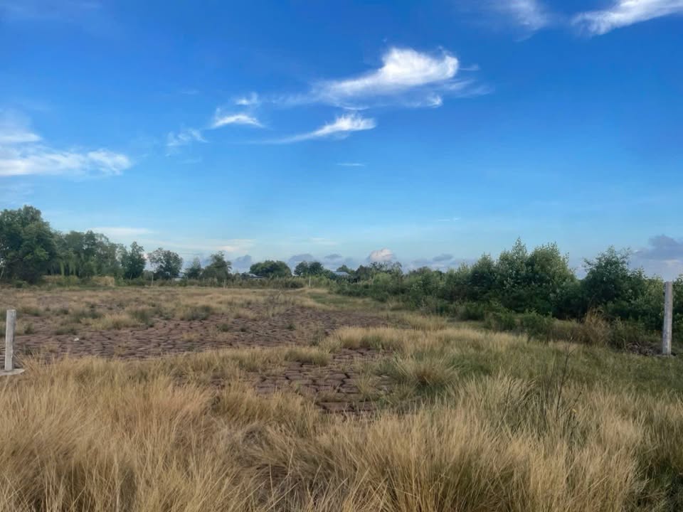 Đất nền Hòa Thành Cà Mau 1185m² giá 3 tỷ - Tiềm năng tăng giá!