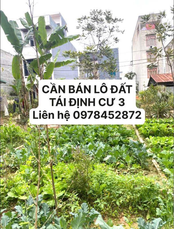 Đất nền Cao Bằng 67.5m² Đường Đề Thám - Sổ đỏ chính chủ