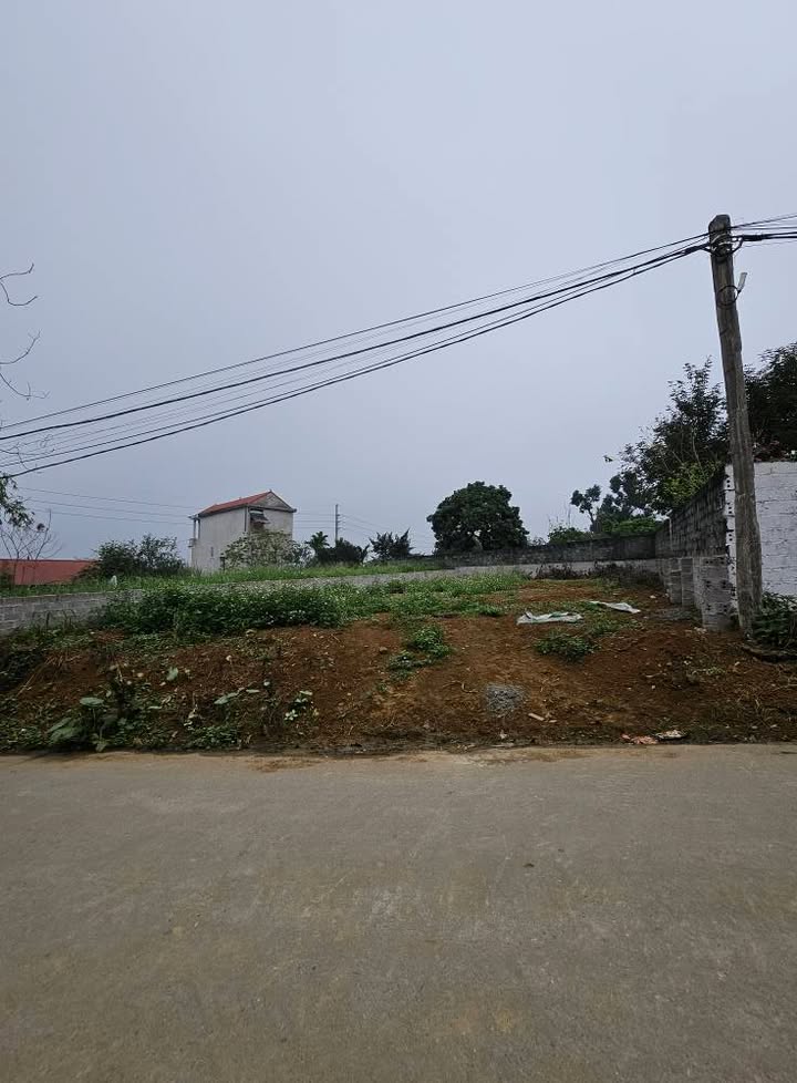 Đất Vàng Ba Vì - 310m² Thổ Cư, Sổ Đỏ, Kinh Doanh Thoải Mái