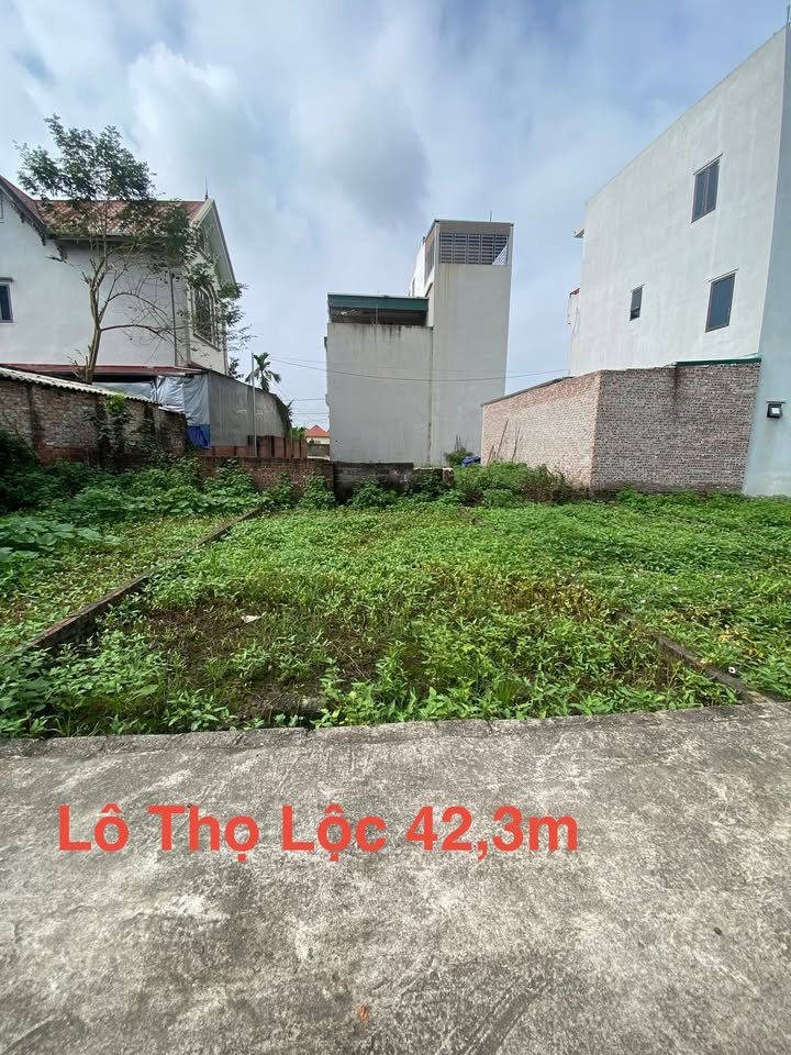 Đất nền 42m² Thọ Xuân, Đan Phượng – Sổ đỏ chính chủ, tiềm năng tăng giá!