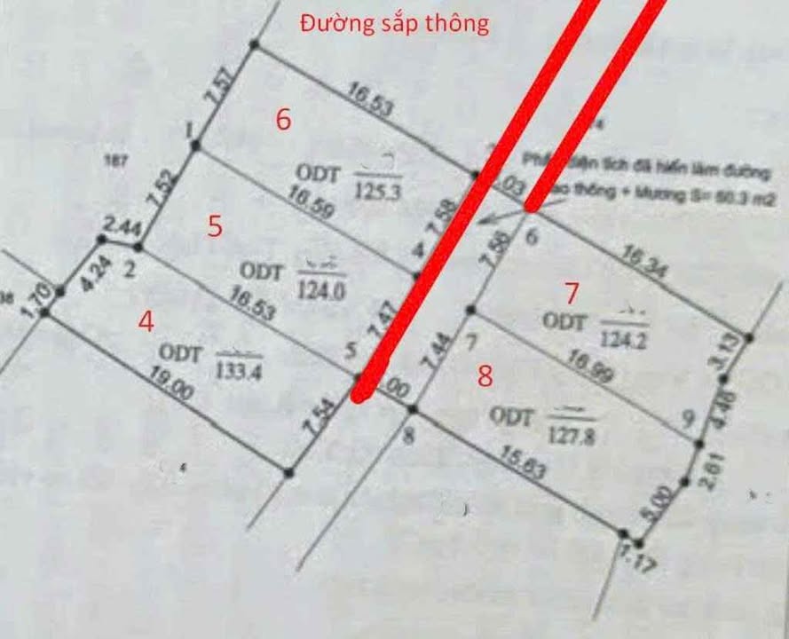 Đất Nền Thạch Đài, Hà Tĩnh 124-145m² - Giá F0, Tiềm Năng Tăng Giá!