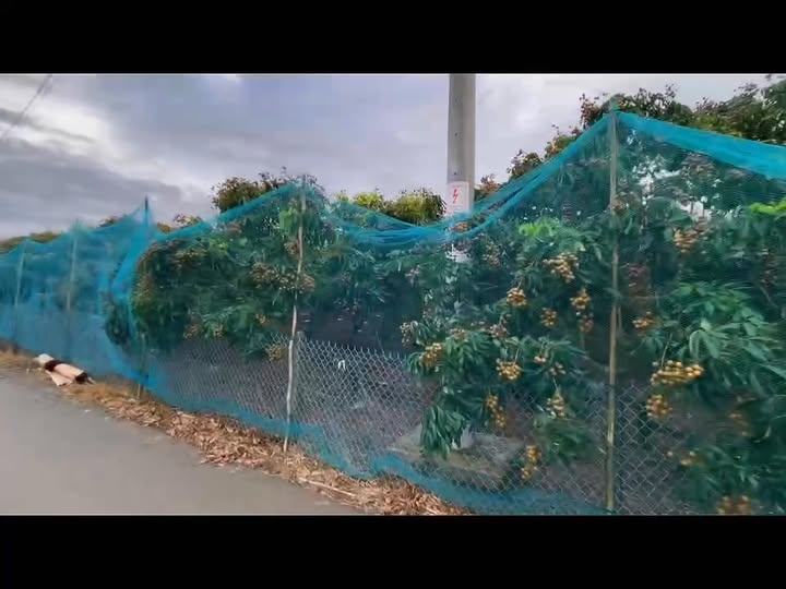 Bán Đất Vườn 2000m² Xuyên Mộc - Sổ Hồng Sẵn, Mặt Tiền Nhựa 30m