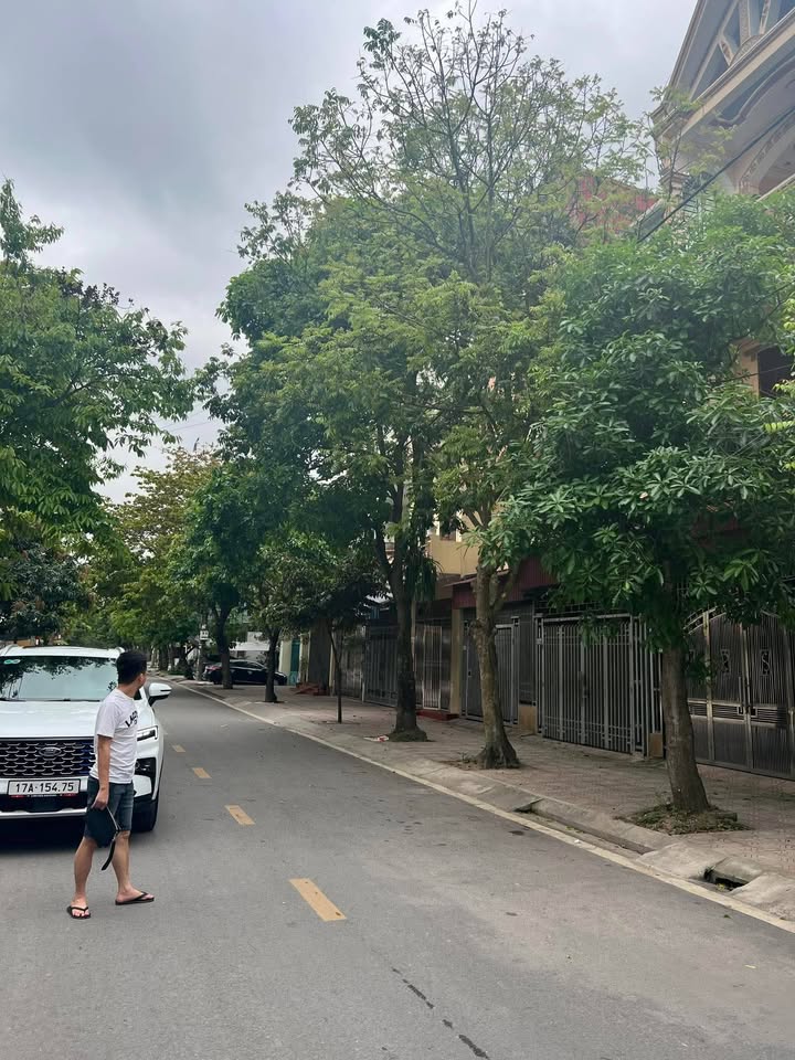 Mặt phố Hoàng Vinh, Tiền Hải 80m² - Kinh doanh đỉnh cao, giá 2.x tỷ