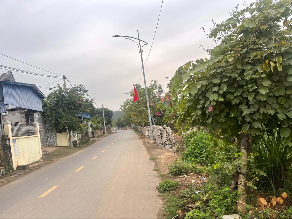 Bán Gấp Đất Nền 80m² Đường 7M TP Hải Dương - Giá 1.45 Tỷ