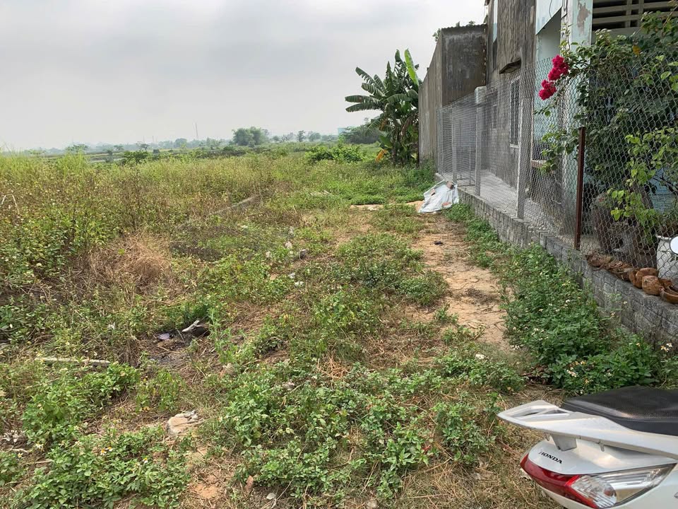 Đất nền Hòa Phước, Đà Nẵng 75m² giá 1 tỷ - Tiềm năng tăng giá!