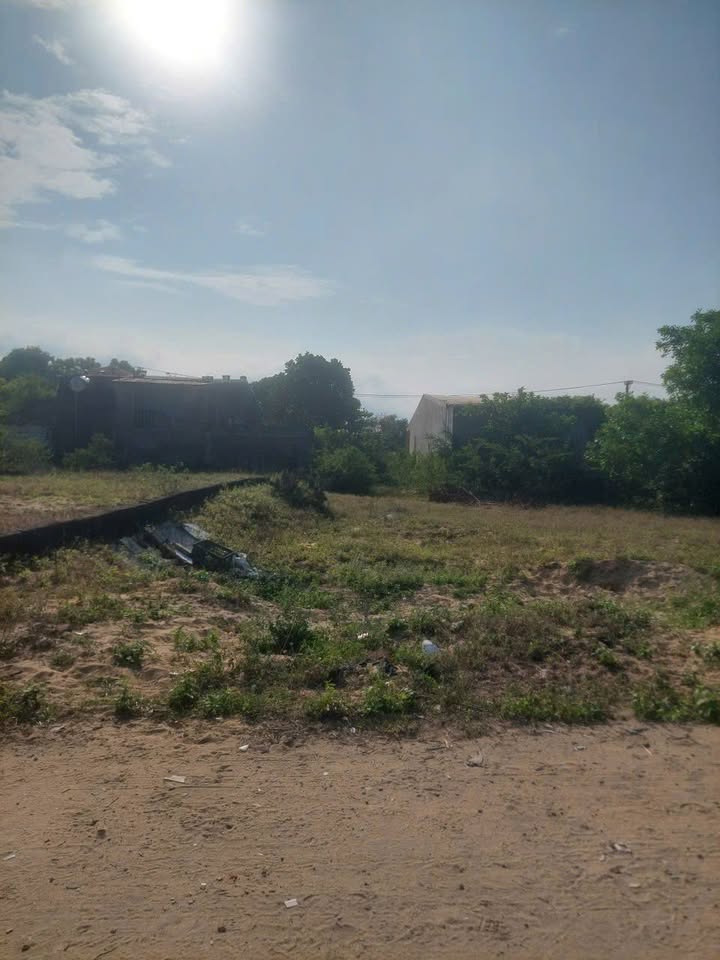 Đất Nền Tứ Kỳ - 150m² Hướng Đông Giá 2.2 Tỷ, Sẵn Sổ Hồng