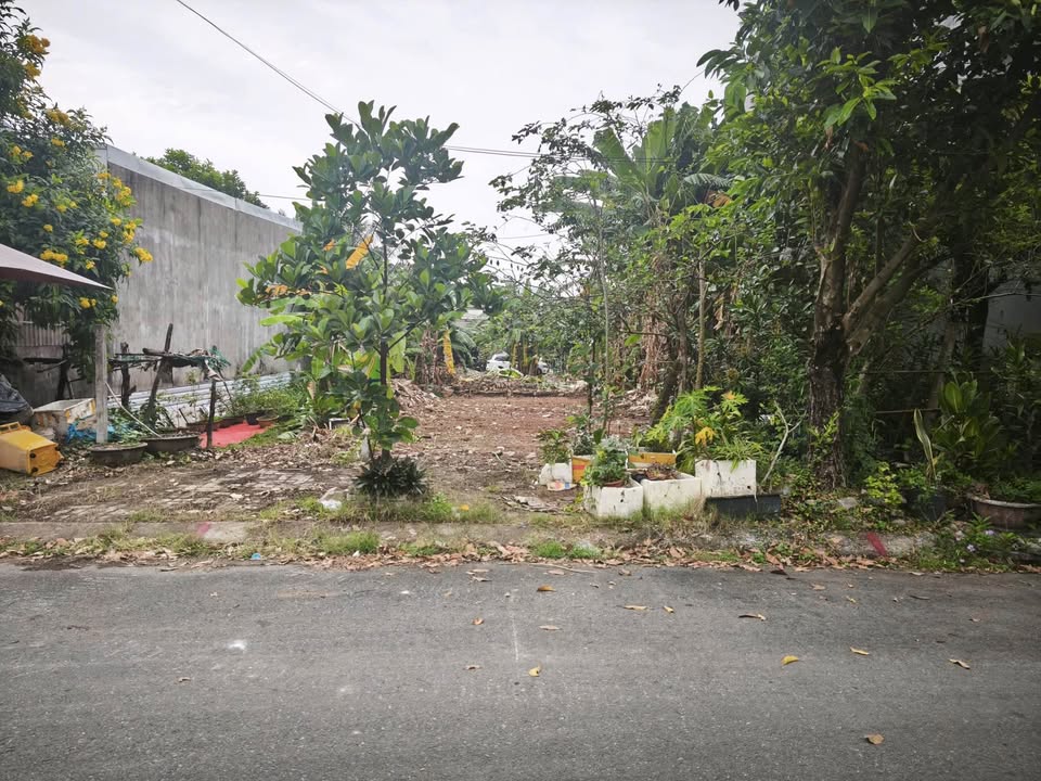 Đất nền Hòa Xuân 100m² - View công viên, pháp lý rõ ràng!