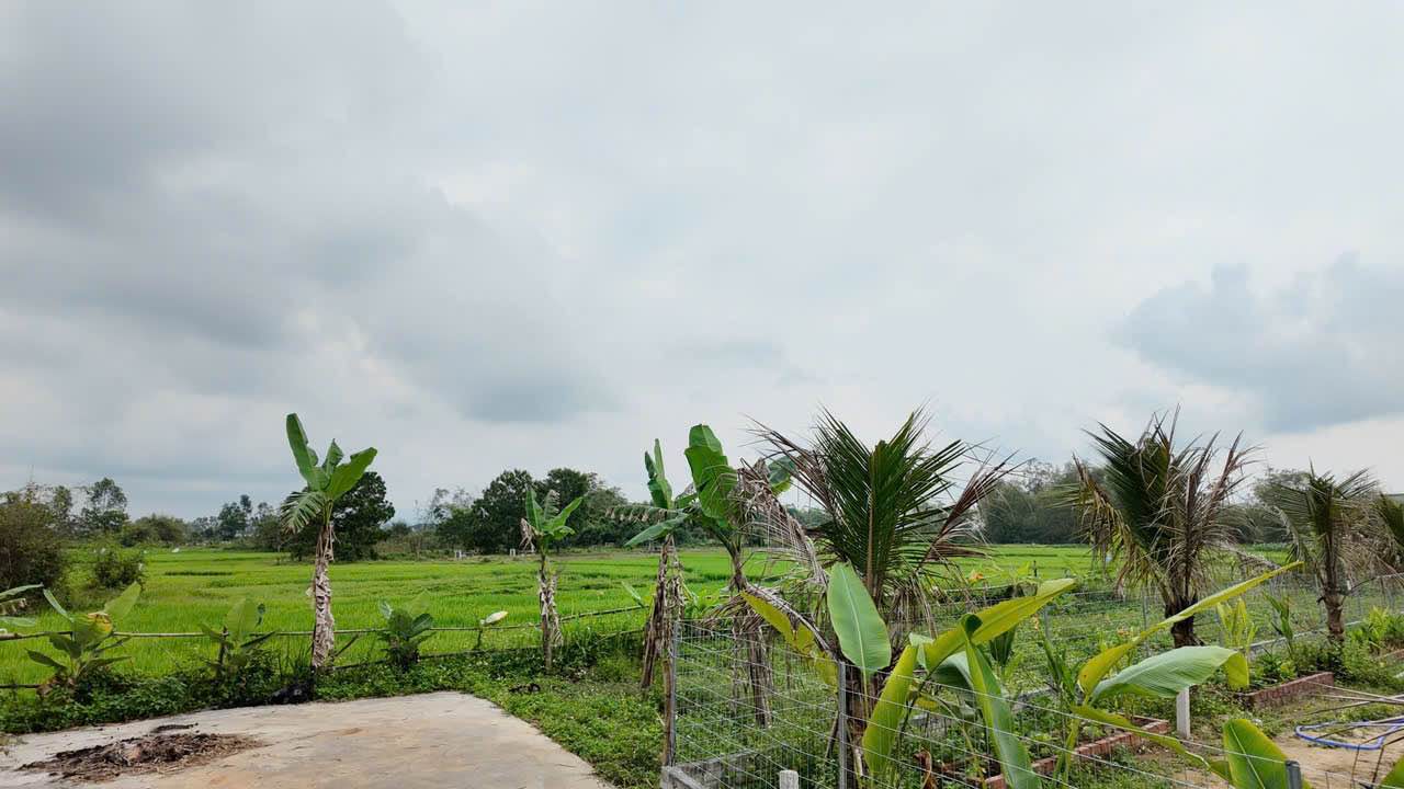 Bán đất Tân Hạnh Hòa Châu 191m² - Sổ đỏ chính chủ, giá cực tốt