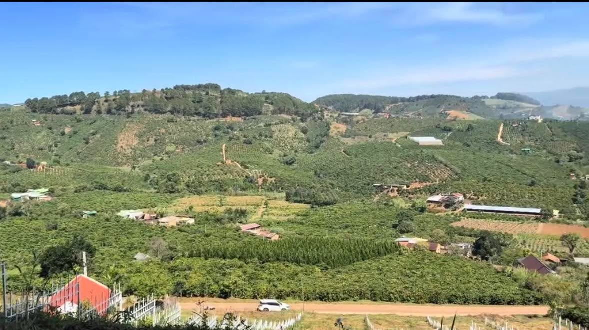 Đất Nam Ban 600m² giá 1.58 tỷ - Đất thổ cư 100%