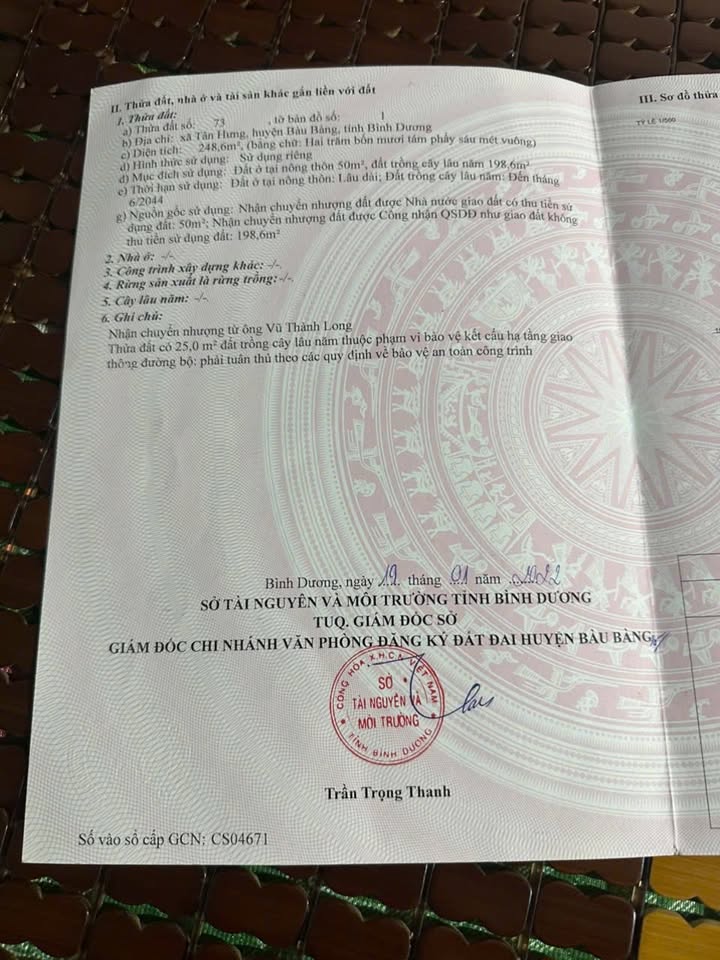 Đất nền Tân Hưng Bàu Bàng 250m² - Sổ đỏ chính chủ!