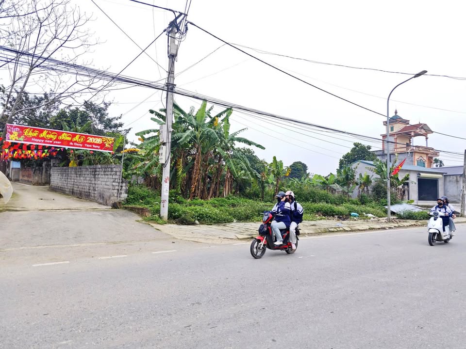 Đất nền Phú Cát Quốc Oai 227m² - Tiềm năng tăng giá vượt trội!