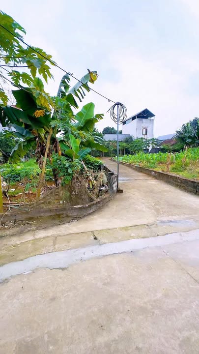 Đất nền Bạch Thạch Thạch Thất 325m² - Đất thổ cư 100%!