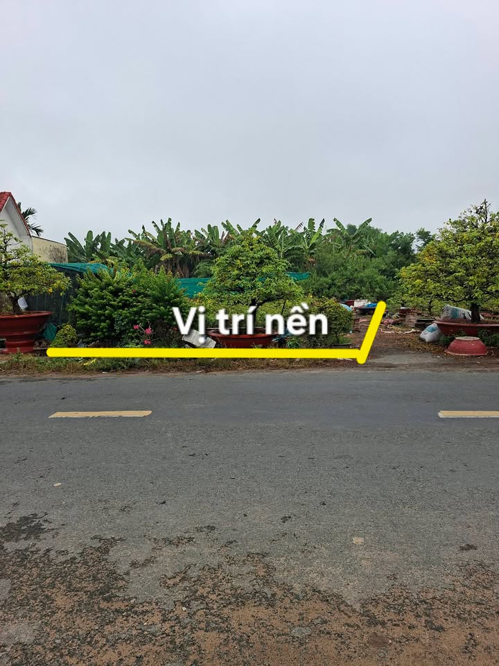 Đất Nền Góc Đường Nguyễn Trung Trực, Phú Tân, An Giang - 100m² - 1.1 Tỷ