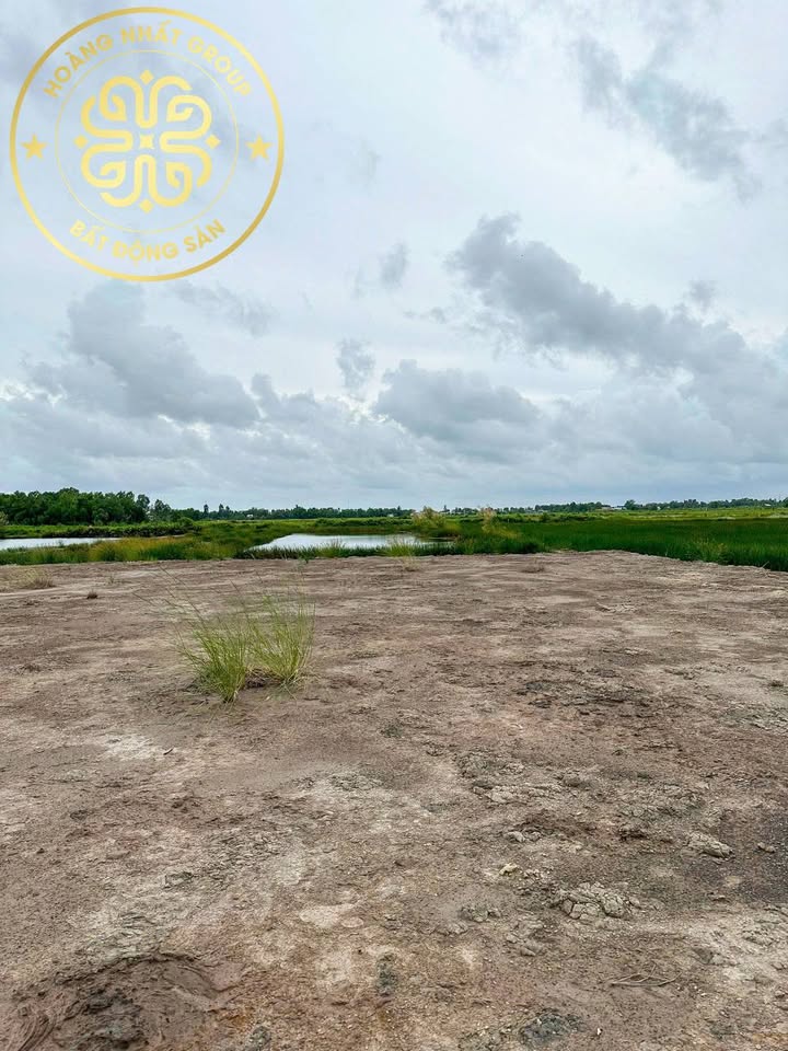 Đất Vườn Lợi An, Trần Văn Thời 11470m² - Đường to ô tô tới đất!