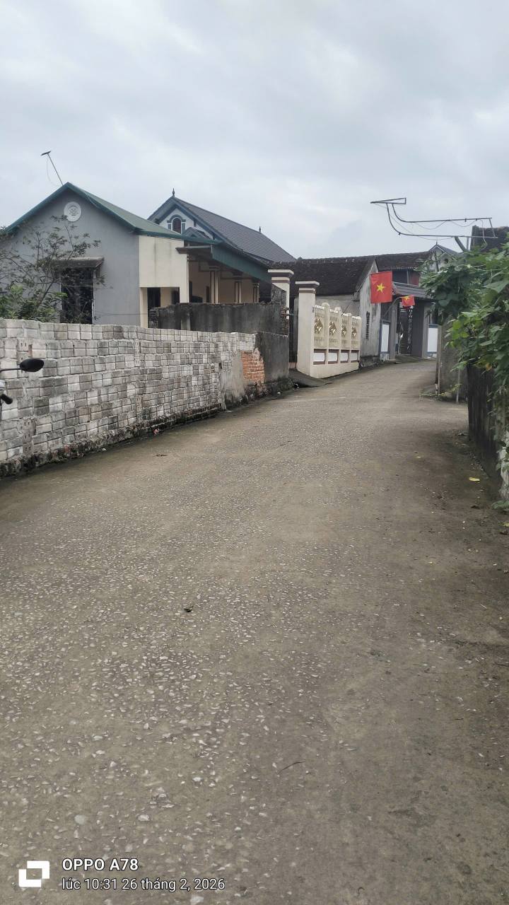 Đất nền Khu Hoà Bình Hậu Lộc 200m² - Sổ đỏ chính chủ, đường ô tô tránh!