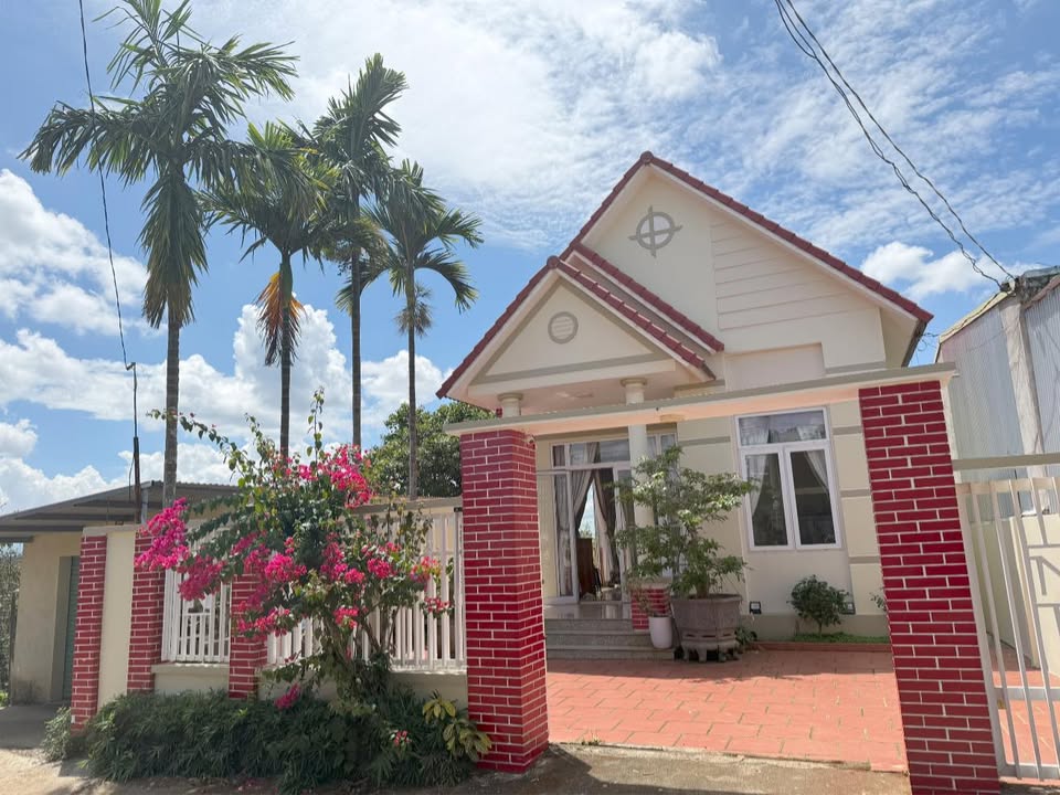 Nhà Mái Thái 400m² Hẻm Trần Phú, Gia Nghĩa - Tặng Nội Thất Cao Cấp