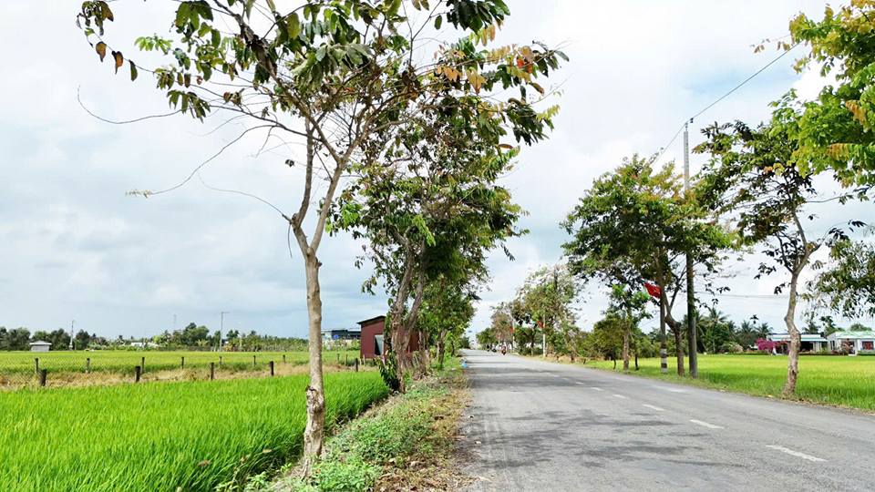Đất ODT Mặt Tiền Cao Thị Mai, Tân Trụ, Long An - 174m² - Giá 1.5 Tỷ TL