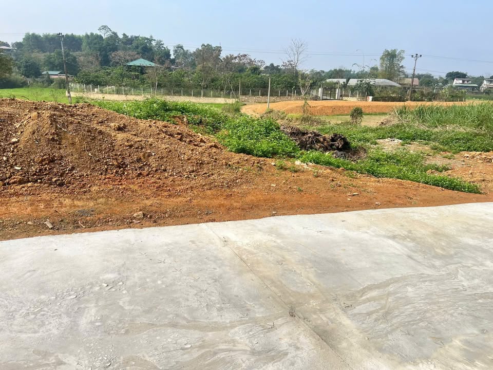 Đất nền Tổ 11 Nông Tiến, Tuyên Quang 200m² - Đường to ô tô vào tận đất!