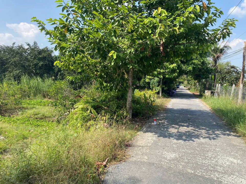 Đất vườn Phường Đông Thành Vĩnh Long 1000m² giá 1.5 tỷ - Đầu tư dài hạn