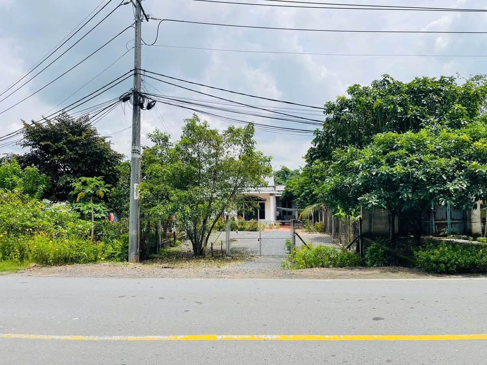 Bán Đất Mặt Tiền Nguyễn Văn Khạ, Củ Chi 462m² Sổ Hồng Riêng - Giá 5 Tỷ