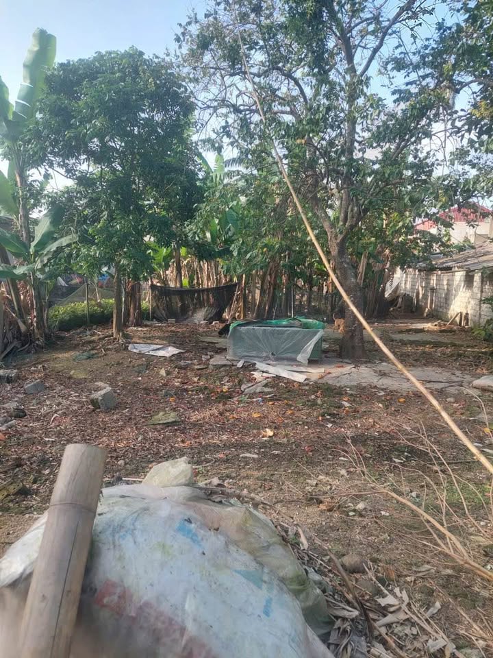 Đất nền Quảng Trạch 236m² - Giá cắt lỗ 700 triệu, ô tô vào tận nơi!