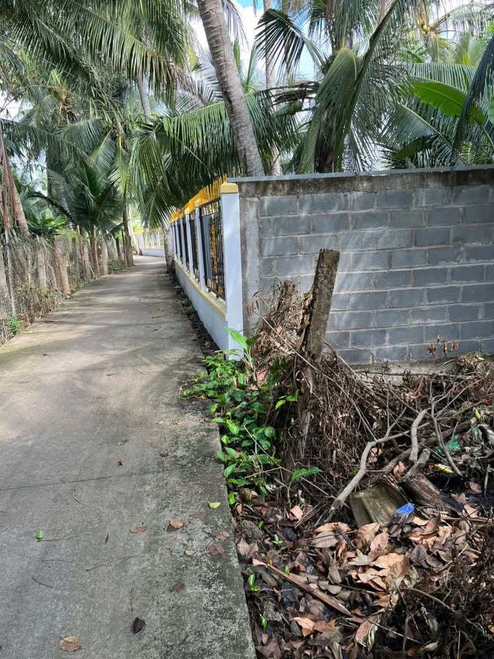 Đất nền Kim Sơn, Châu Thành, Tiền Giang 96m² - Đất thổ cư 100%