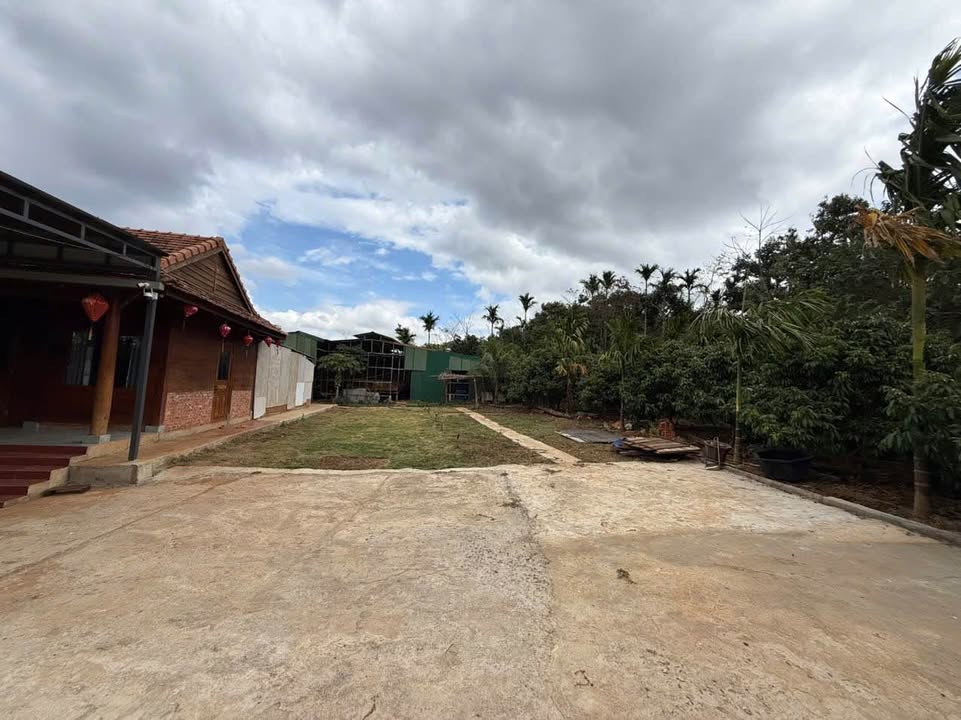 Nhà Vườn Đắk Lắk 1650m² - Nghỉ Dưỡng Riêng Tư, Giá 3.65 Tỷ