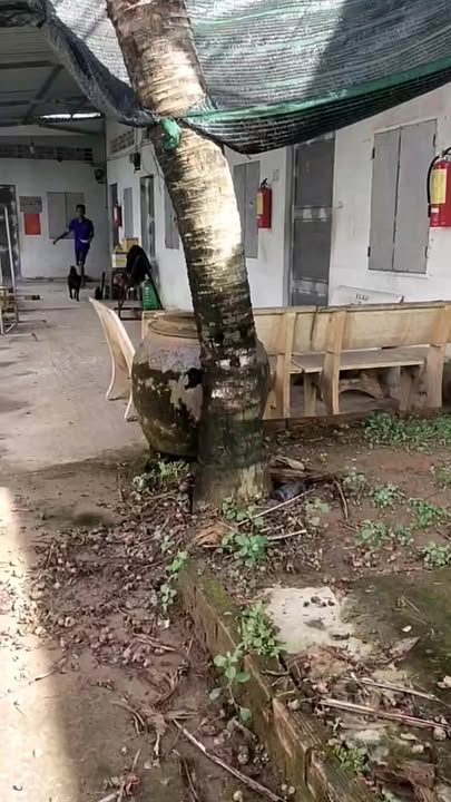 Đất Vườn 499.6m² Xã An Thái Đông, Cái Bè - Có Nhà Cấp 4 & 7 Phòng Trọ