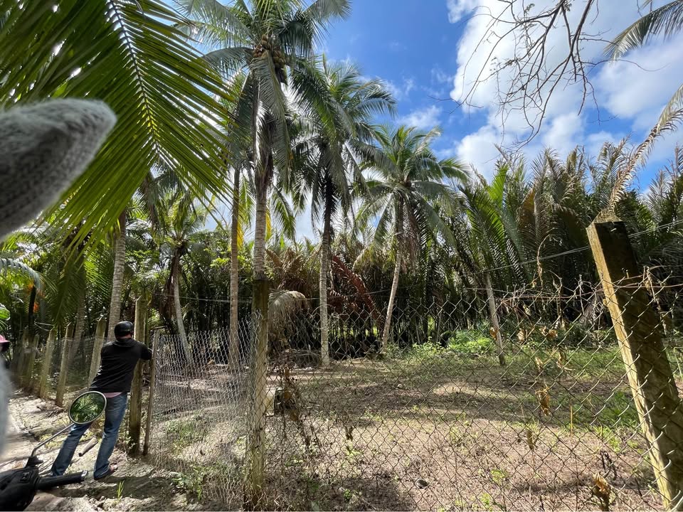 Đất nền Mỏ Cày Nam Bến Tre 420m² giá 270 triệu - Sổ đỏ chính chủ