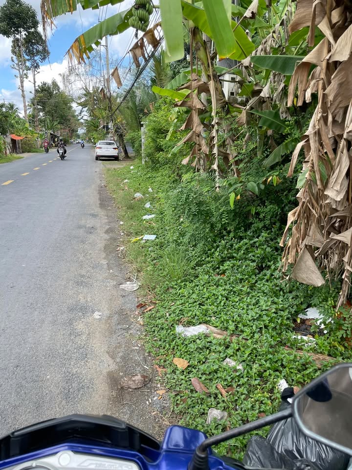 Đất Mặt Tiền Giồng Trôm 372m² - Sổ đỏ chính chủ, kinh doanh đắc địa!