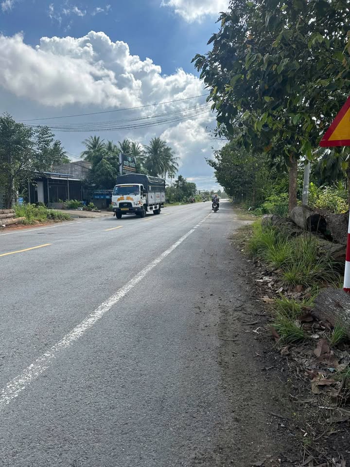 Bán gấp 2835m² vườn dừa xiêm Bến Tre - Lợi nhuận ổn định