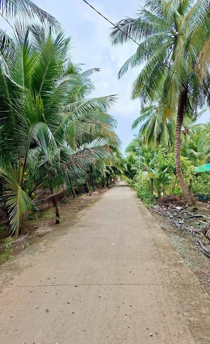 Đất nền Phú Tân, Châu Thành 514m² giá 900 triệu - Tiềm năng tăng giá!