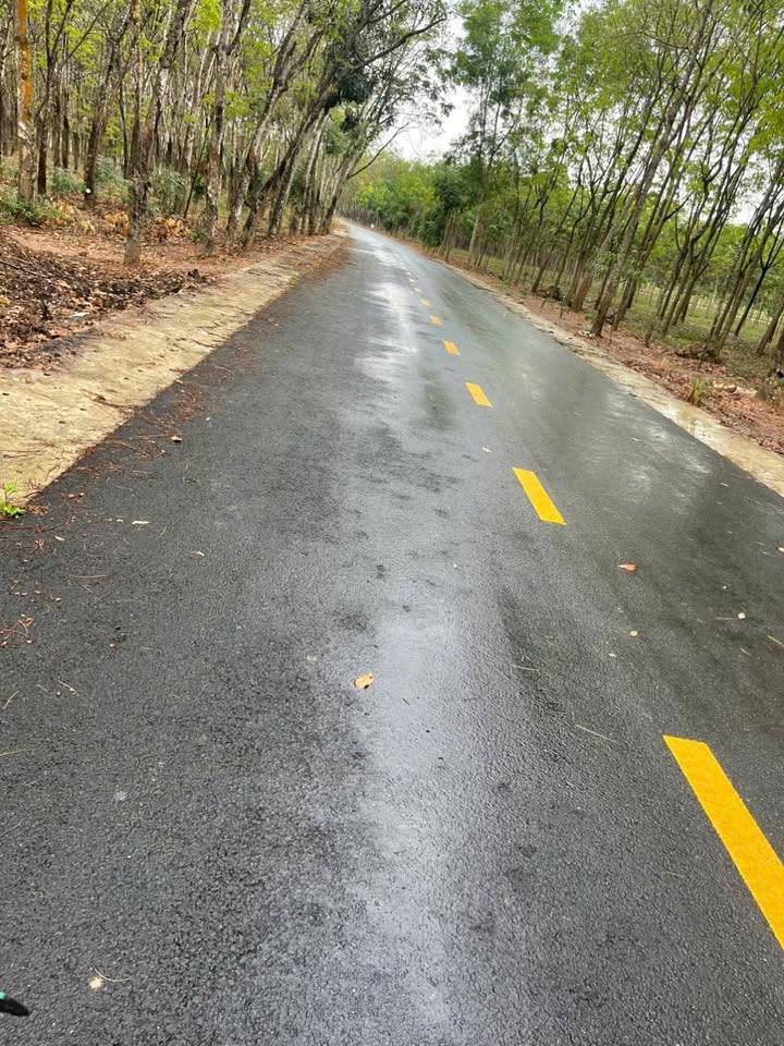 Bán Đất Chánh Phú Hòa 375m² - Sổ Đỏ, Sẵn Sàng Xây Kho/Xưởng