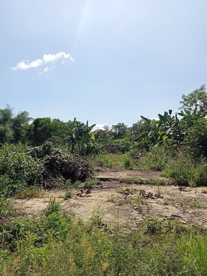 Đất nền Ấp 7 Gia Canh 4600m² giá 2.2 tỷ - Sổ đỏ chính chủ