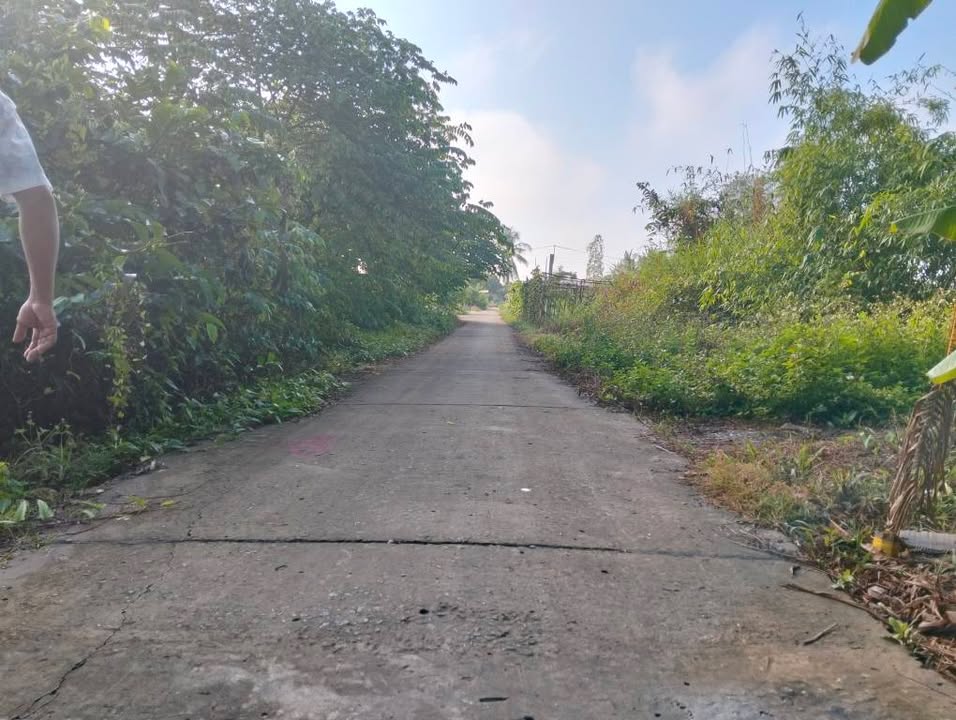 Đất nền Châu Thành Kiên Giang 210m² - Đất thổ cư 100%