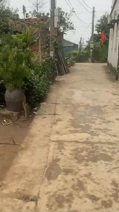 Đất Ngọc Tảo, Phúc Thọ 108m² - Sổ đỏ sẵn, ô tô đỗ cửa