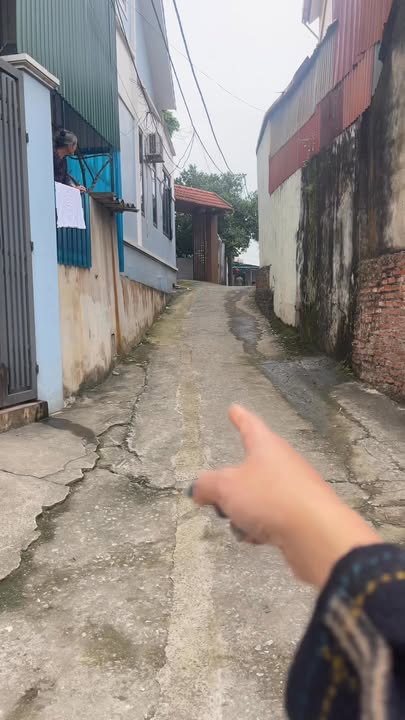 Đất nền Phúc Thọ 120m² giá 1.2 tỷ - Tiềm năng tăng giá vượt trội!