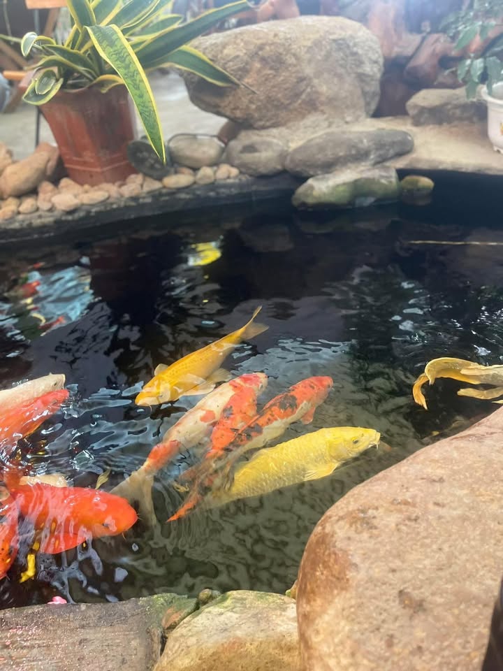 Đất nền Ngọc Hồi Quy Nhơn 95m² - View Sông Đầm, Tiềm năng tăng giá!