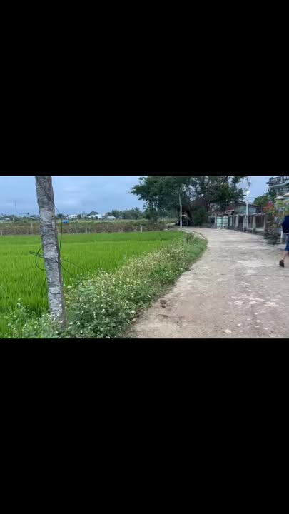 Đất nền An Nhơn 89m² giá 500 triệu - Tiềm năng tăng giá vượt trội!