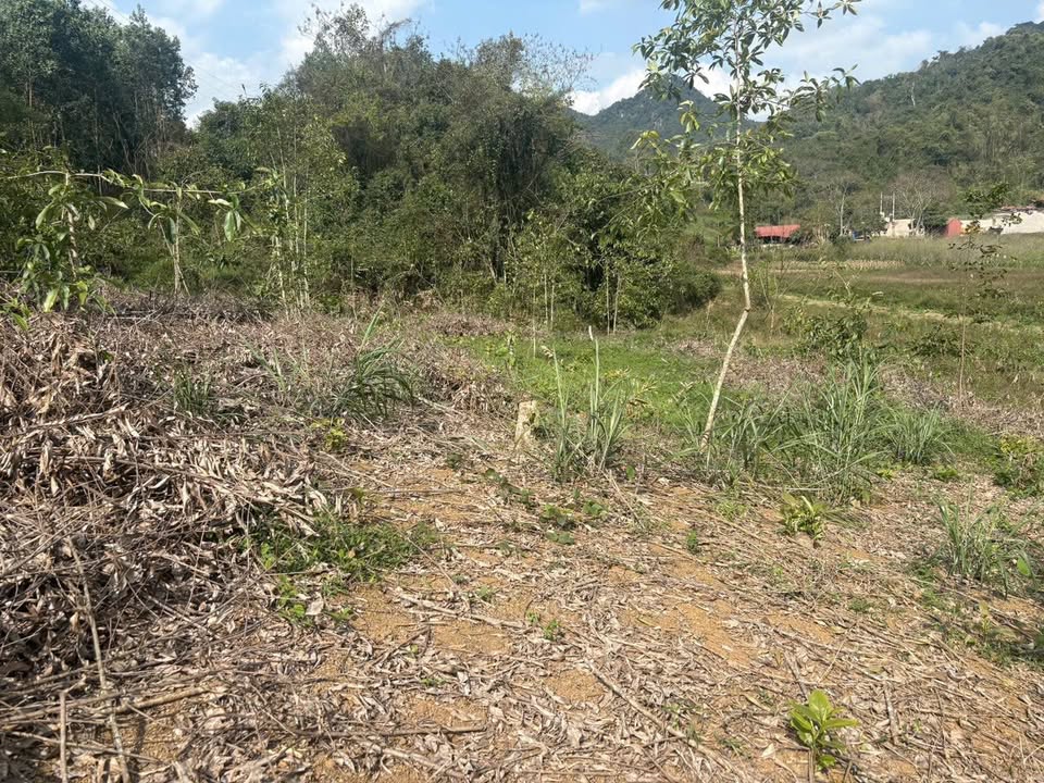 Đất Nền 2800m² Na Rì, Bắc Kạn – Tiềm năng tăng giá vượt trội!