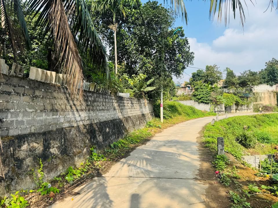 Đất nền Tân Hòa, TP Hòa Bình 120m² - Tiềm năng tăng giá vượt trội!