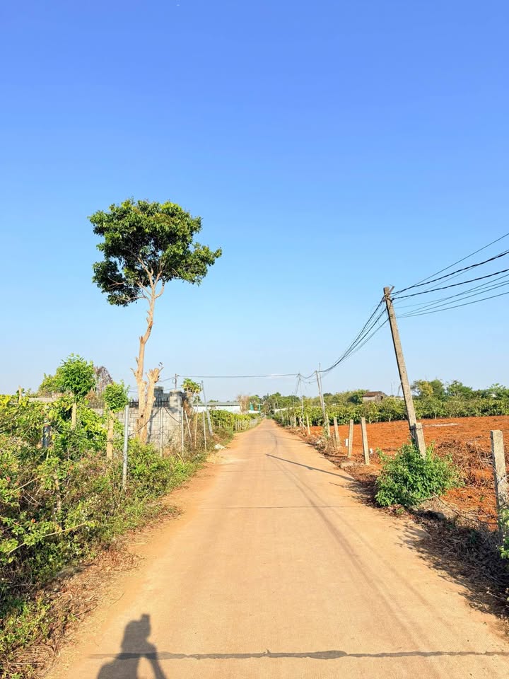 Đất nền Nguyễn Tuân Pleiku 120m² - Sổ đỏ chính chủ!